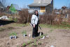 Надежда Ивановна Гутовская (Фомичёва) на огороде, сажает помидоры, 1 мая 2009