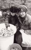 Надежда Ивановна Гутовская (Фомичёва) с сыном Алексеем, дача, Колпаки, лето 1986